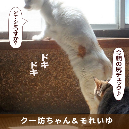 20171221_touko.jpg