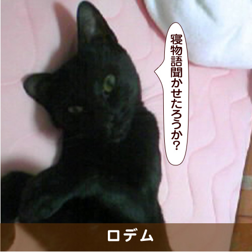 20171223_touko.jpg