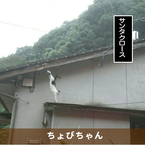 20171225_touko.jpg