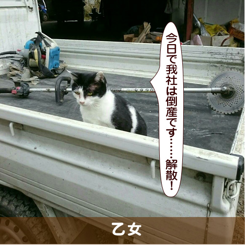 20171227_touko.jpg