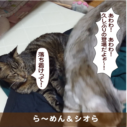 20171228_touko.jpg