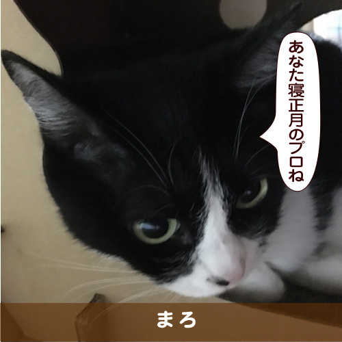 20180102_touko.jpg