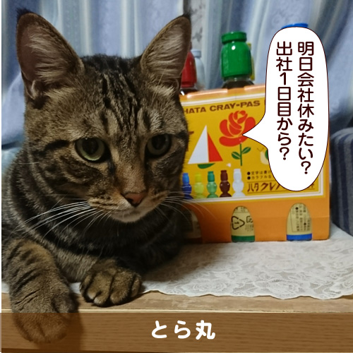 20180103_touko.jpg