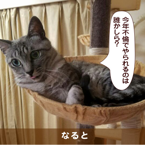20180104_touko.jpg