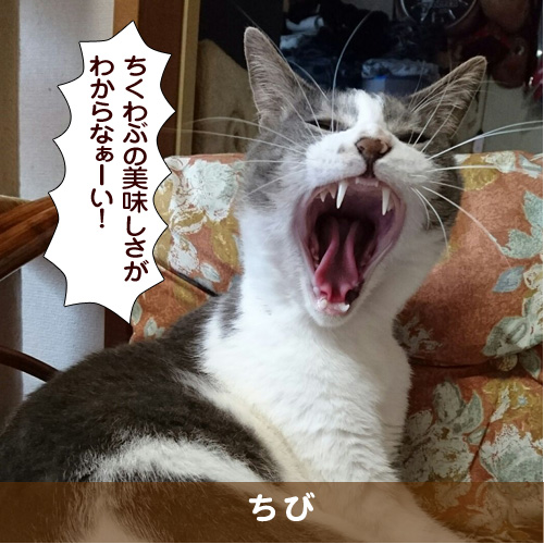 20180105_touko.jpg