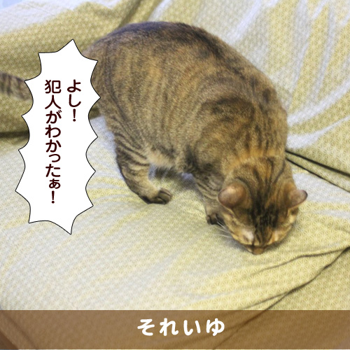 20180106_touko.jpg