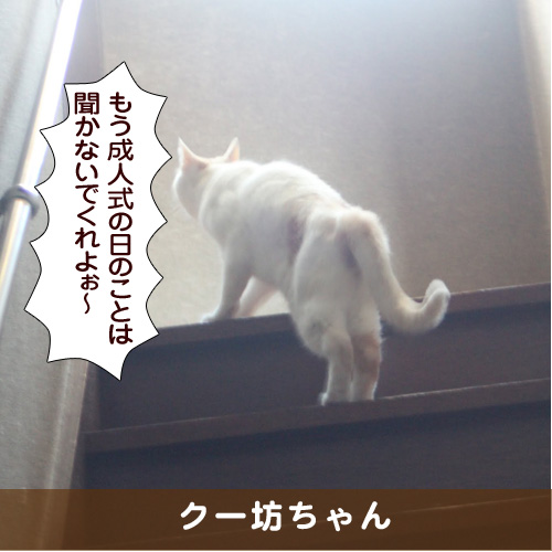 20180107_touko.jpg