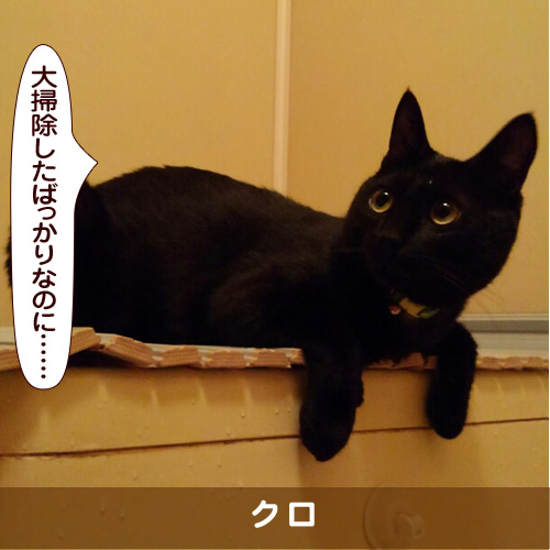 20180108_touko.jpg