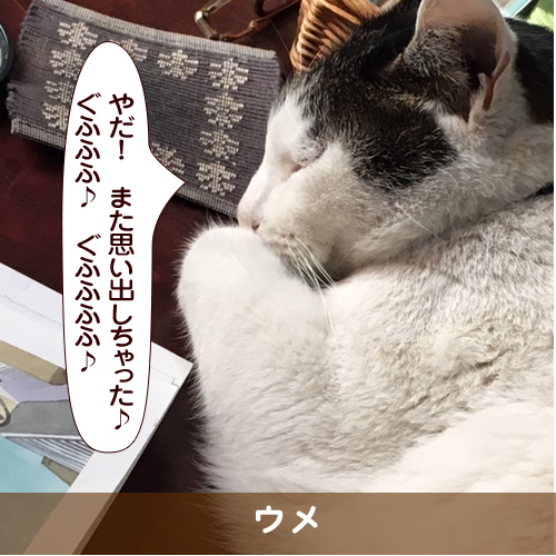 20180109_touko.jpg
