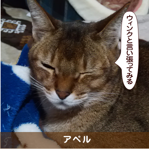 20180110_touko.jpg