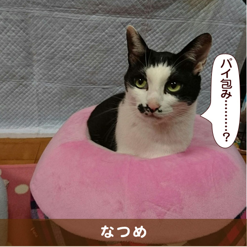 20180113_touko.jpg