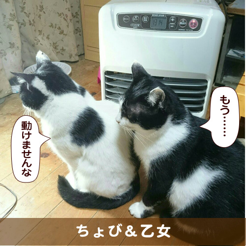 20180114_touko.jpg