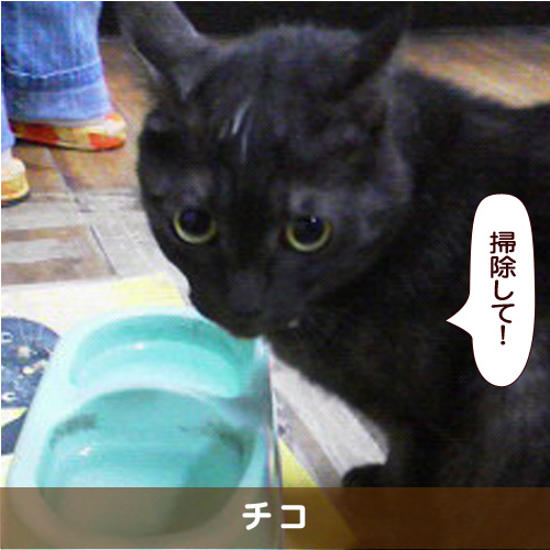 20180116_touko.jpg