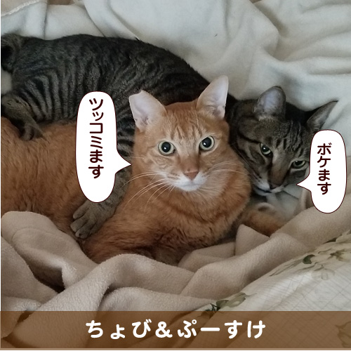 20180120_touko.jpg