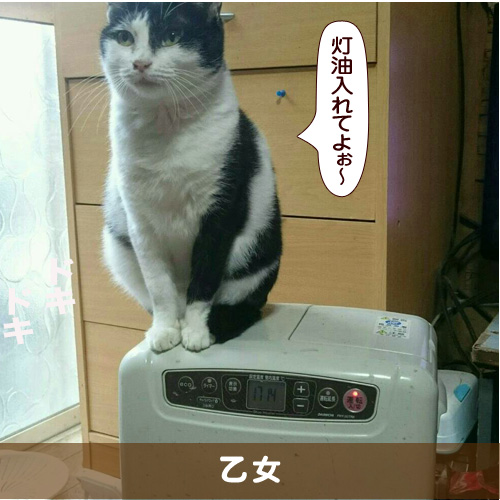 20180122_touko.jpg