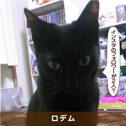 20180123_touko.jpg