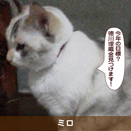 20180124_touko.jpg