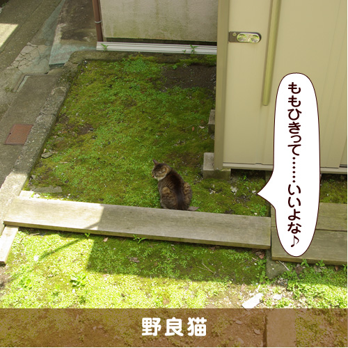 20180127_touko.jpg