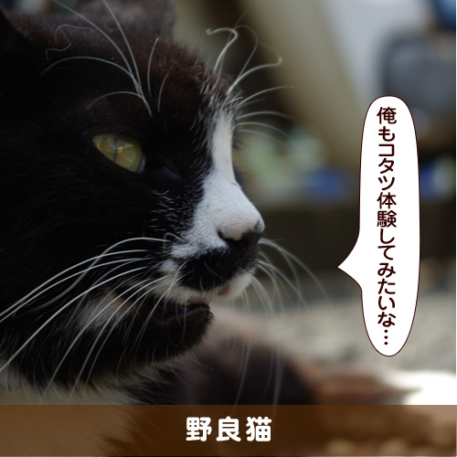 20180128_touko.jpg