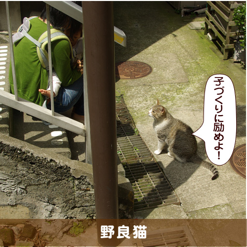 20180131_touko.jpg