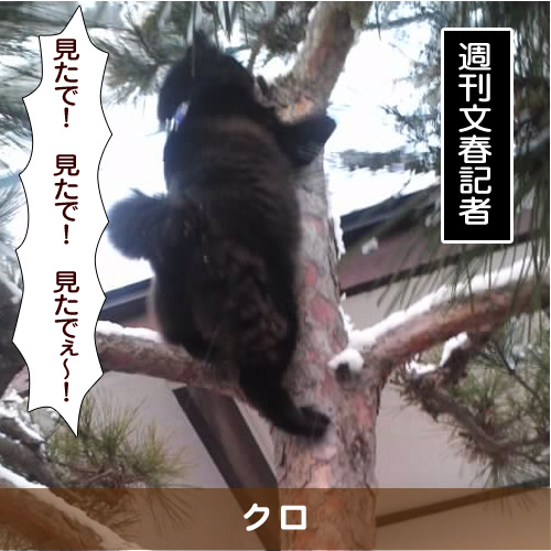 20180202_touko.jpg