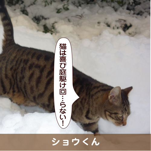 20180208_touko.jpg