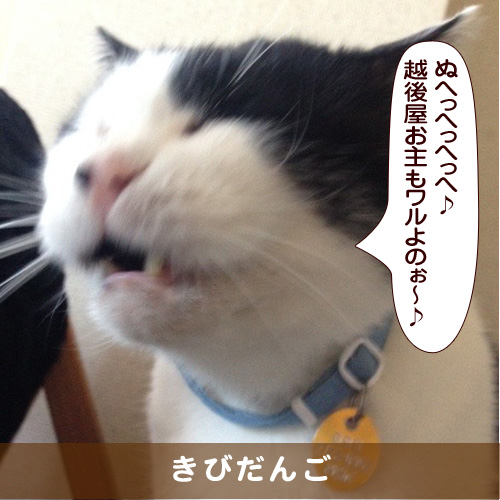 20180209_touko.jpg