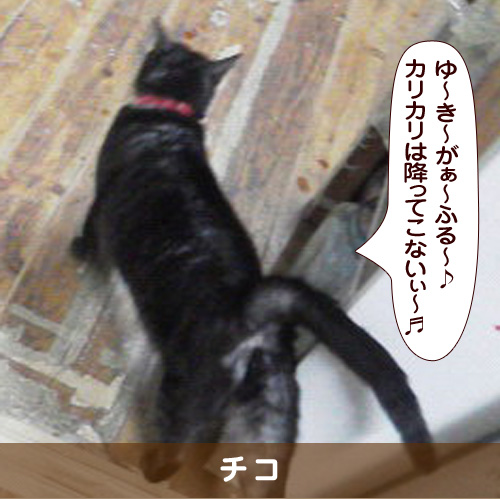 20180211_touko.jpg