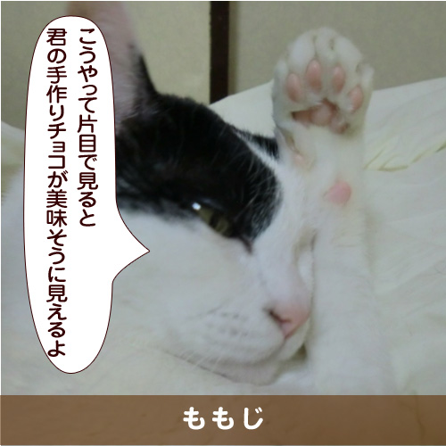 20180214_touko.jpg