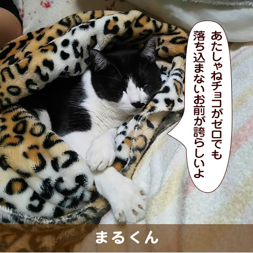 20180215_touko.jpg
