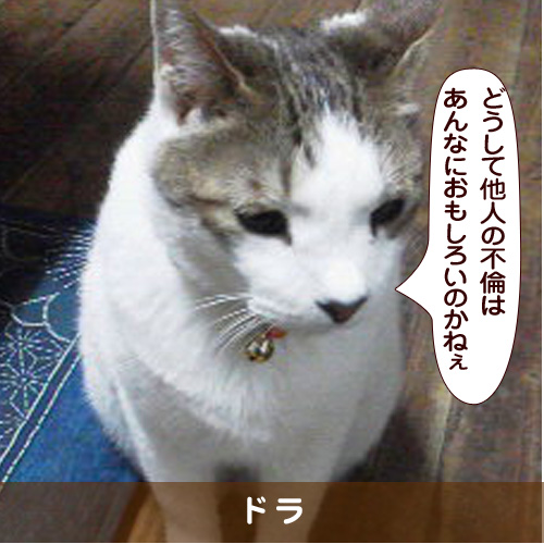 20180216_touko.jpg