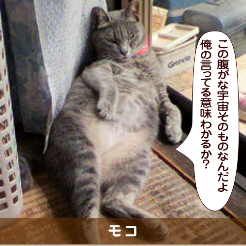 20180217_touko.jpg