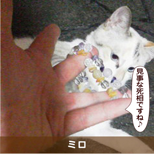 20180218_touko.jpg