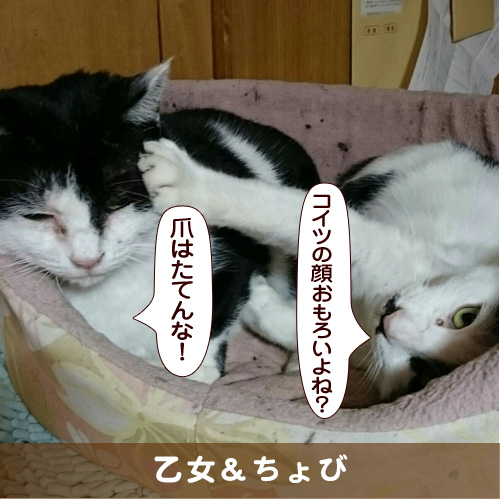 20180227_touko.jpg
