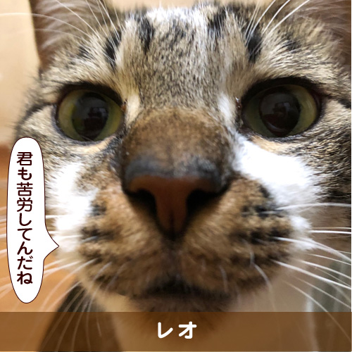 20180302_touko.jpg