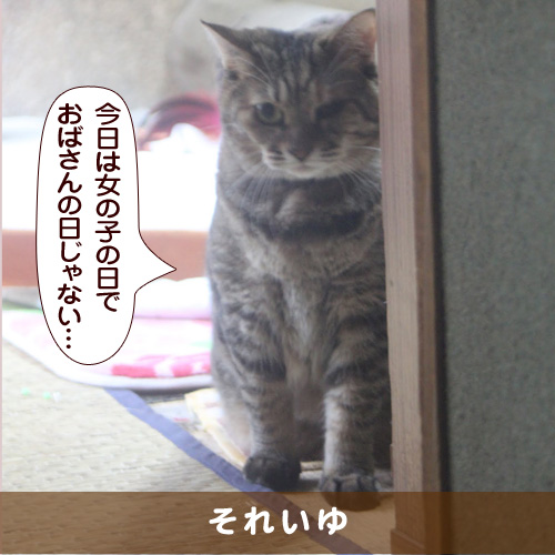 20180303_touko.jpg