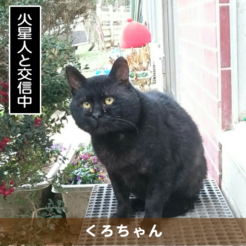 20180306_touko.jpg
