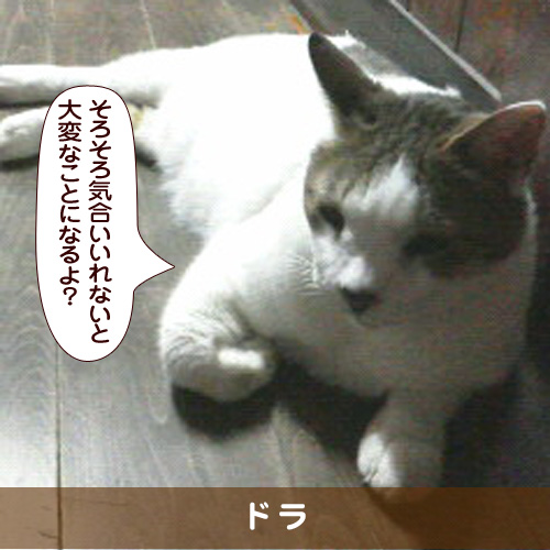 20180310_touko.jpg