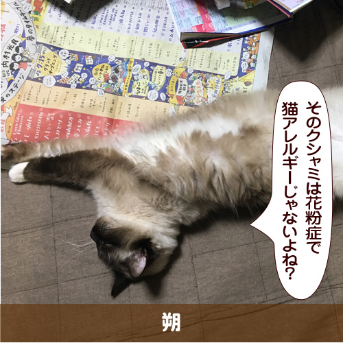 20180313_touko.jpg