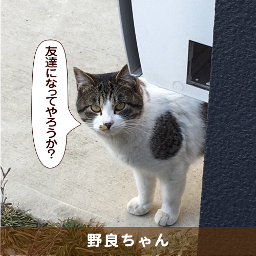 20180319_touko.jpg