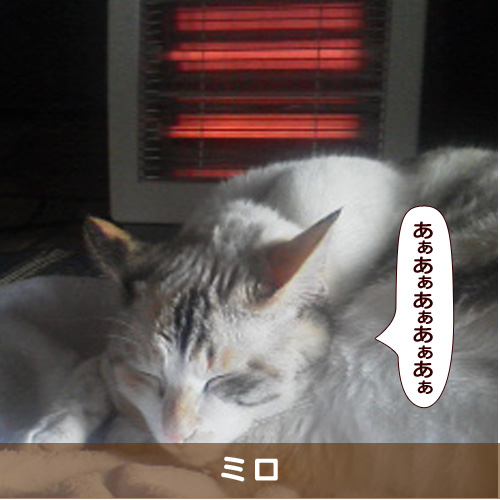 20180321_touko.jpg