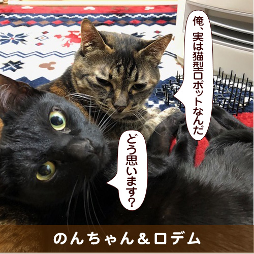 20180322_touko.jpg