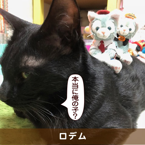 20180323_touko.jpg