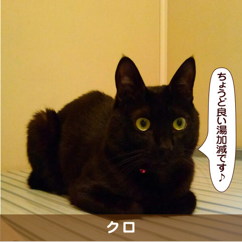 20180326_touko.jpg