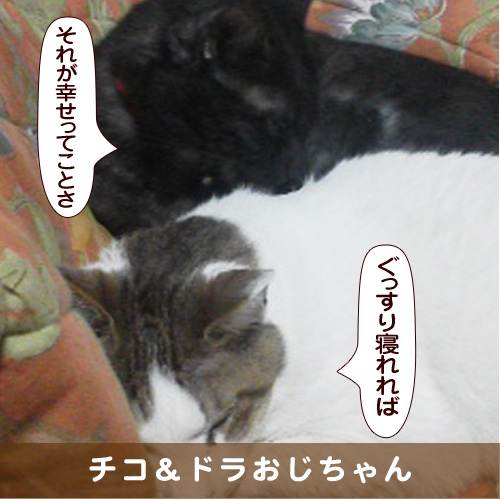 20180329_touko.jpg