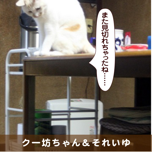 20180330_touko.jpg