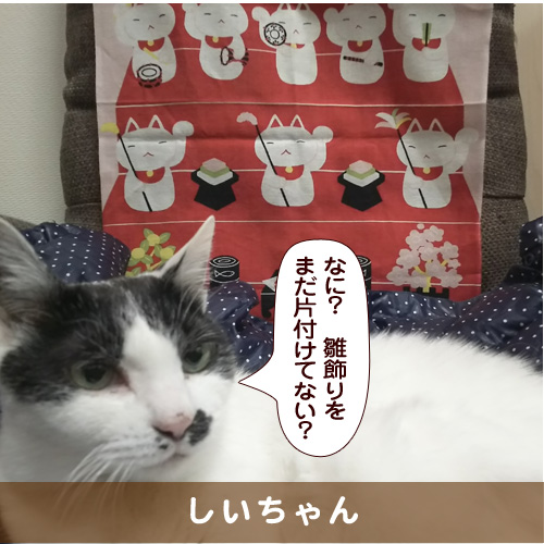 20180331_touko.jpg