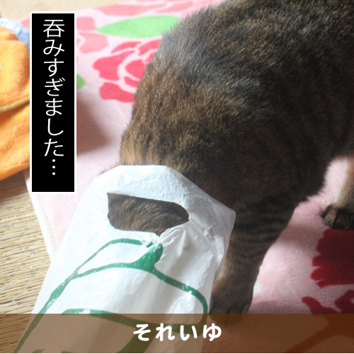 20180403_touko.jpg