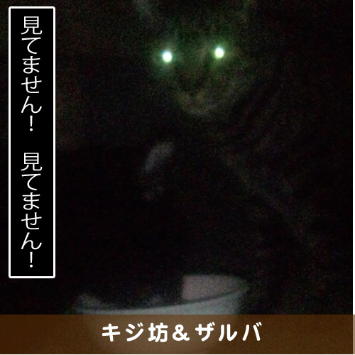20180407_touko.jpg
