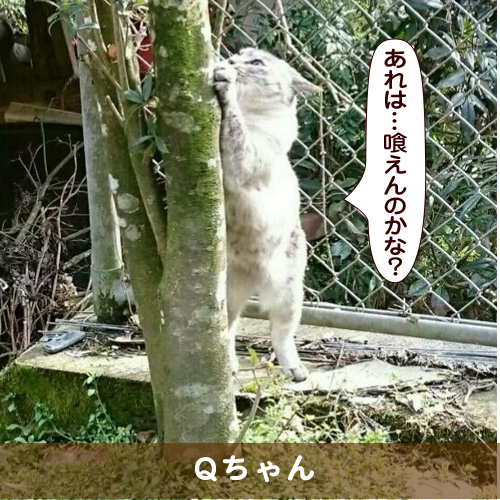 20180409_touko.jpg